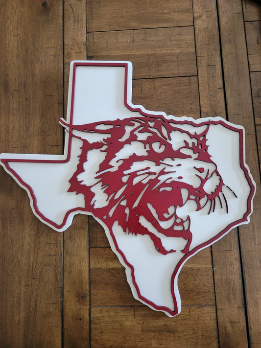 18" Texas School Spirit